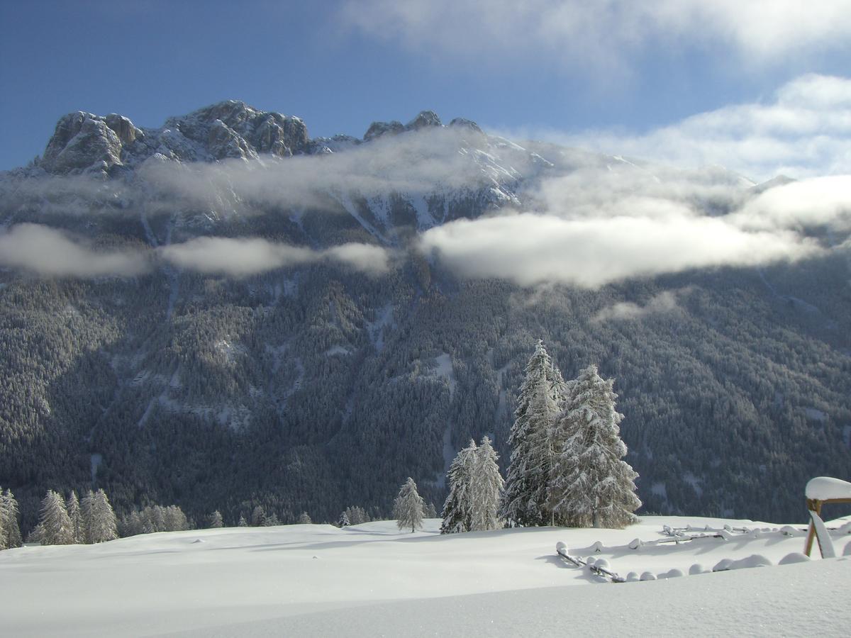 B&B Fior Vigo di Fassa Kültér fotó